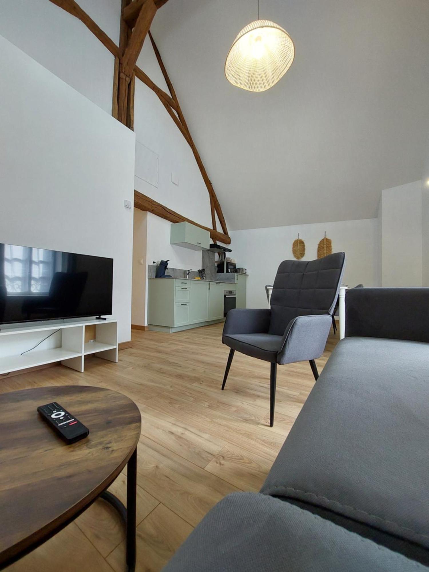 Appartements L'Hirondelle Beaugency Zewnętrze zdjęcie